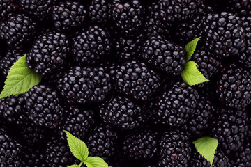 Tasty ripe fresh blackberries with leaves as background, closeup view
