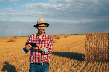 Naklejka na ściany i meble senior bearded man on wheat field using tablet