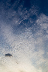 Fototapeta premium Beautiful Twilight sunset sky with tiny clouds. Nature concept background