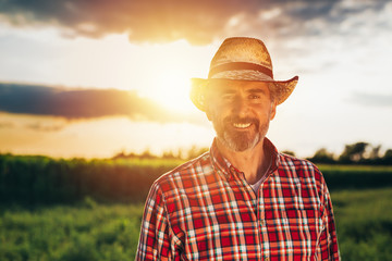senior bearded farmer with straw hat standing crossed arms in field with sun behind him - obrazy, fototapety, plakaty