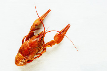 Boiled red cancer lies on a white table. Snack to beer.