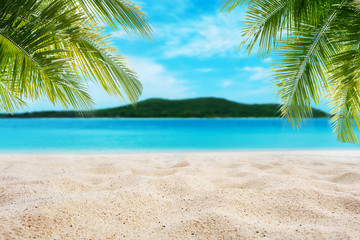 Tropical sand beach with palm leaves