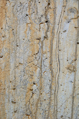 Obraz premium Concrete textures and pasterns and surfaces