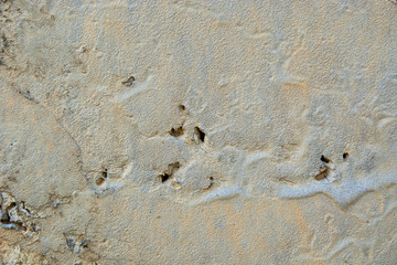 Concrete textures and pasterns and surfaces