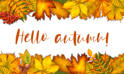 autumn background with falling leaves
