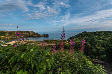 Summer at Three Cliffs Bay Gower Swansea