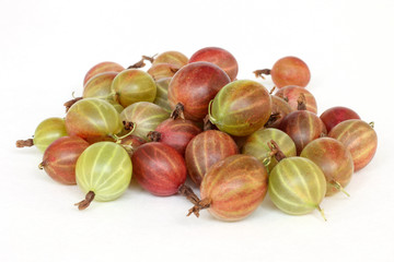 gooseberries Ribes uva-crispa on a white background