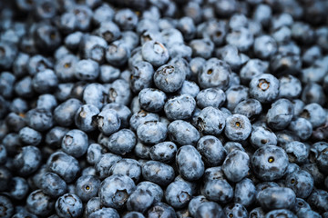 Background of fresh blueberries