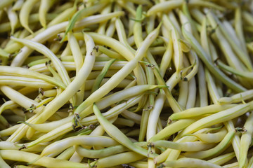 Background of green beans