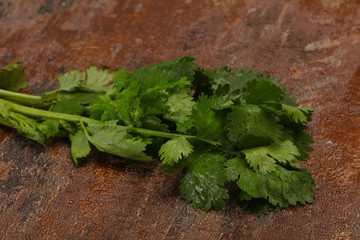 Fresh ripe  Green cilantro leaves