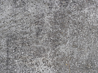 Old grey withered moss concrete slab background for design, banner and layout