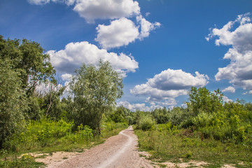 Fototapeta na wymiar Road among a meadow with blue sky and clouds above it