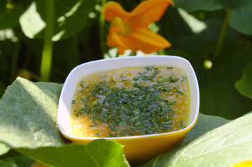 Kürbissuppe auf einem Kürbisblatt