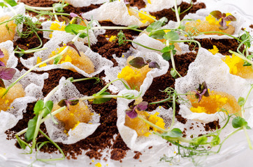 Top view catering banquet table with different food snacks and appetizers. Cold snacks, close up. Assorted canapes with caviar on a serving spoon iIsolated on white background.