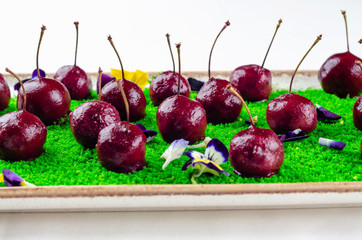 Top view catering banquet table with different food snacks and appetizers. Cold snacks, close up. Assorted canapes with caviar and cherry on green decoration, white background. Party food.