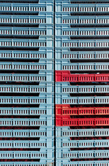 Crates Full of Raspberries