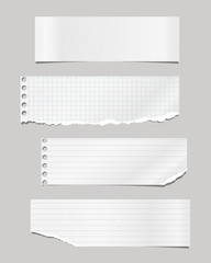 Set of torn note, notebook lined, squared paper strips stuck on grey background. Vector illustration