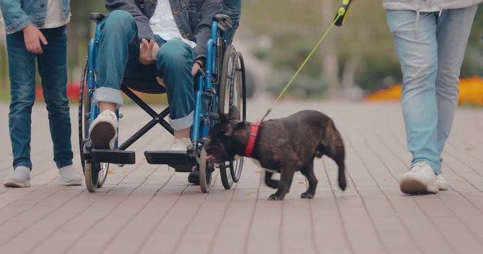 Man rides in a wheelchair, his dog plays with him. Bottom view.