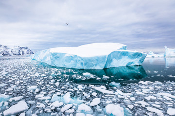 Iceberg with blue ice and covered by snow in Antarctica, scenic frozen landscape in Antarctic...
