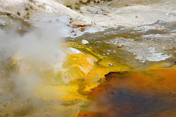 thermal pools in geyser area of Yellowstone National Park