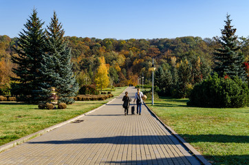 Pavement road with street lamps in the autumn park