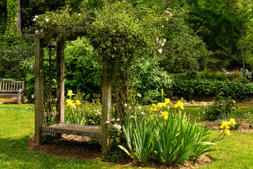Ornate wooden garden arbor with bench seat and climbing roses in beautifully landscaped botanical garden in California, USA.