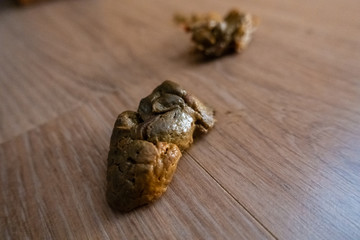 Human stool of a baby on the floor of his room.