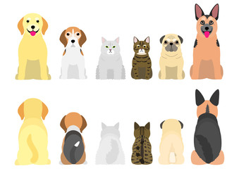 senior dogs and cats in a row, front and back