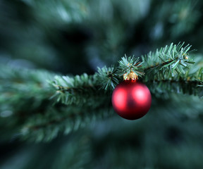 Obraz na płótnie Canvas Traditional single Christmas ball ornament hanging on artificial tree