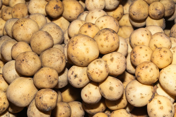 Closeup of Long Kong fruits or Lansium Parasiticum ( Langsat ).