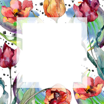 Red tulip floral botanical flower. Watercolor background illustration set. Frame border ornament square.