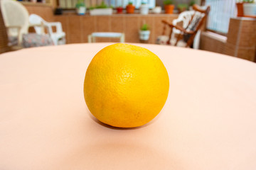 Orange on top of the garden table