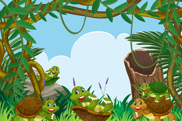 Turtle in jungle scene