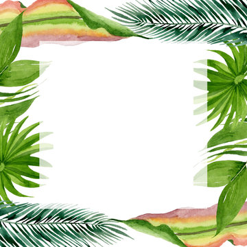 Palm beach tree leaves jungle botanical. Watercolor background illustration set. Frame border ornament square.