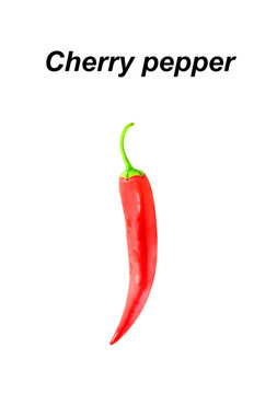 Chilli photographed closeup