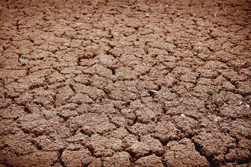 Cracked soil caused by nature in the tropics in hot weather