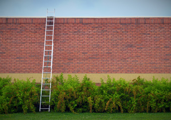 ladder over wall business success concept goal motivation solutions © Jacques Durocher