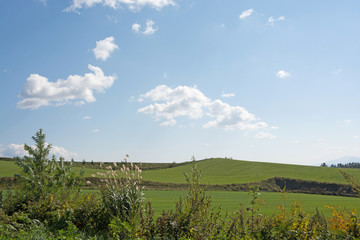 緑の畑と青空