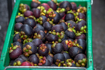 The blurred background of the fruit that is sold in the market (mangosteen). The fruit has dark brown-black color, small to large size, sweet taste, classified as a healthy alternative fruit.