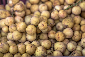 The blurred background of fruit that is commercially available (southern langsat) The fruit has a yellow color, small to large size, sweet taste, classified as a healthy alternative fruit.