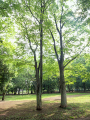 東京都　和田堀公園