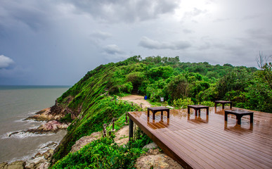 Obraz premium The blurred background of fruit that is commercially available (southern langsat) The fruit has a yellow color, small to large size, sweet taste, classified as a healthy alternative fruit.