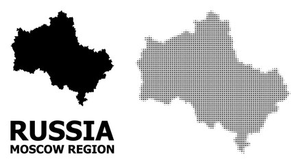 Fototapeta na wymiar Vector Halftone Mosaic and Solid Map of Moscow Region