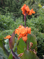 Beautiful places of the Nikitsky Botanical Garden