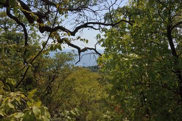 Beautiful places of the Livadia Park