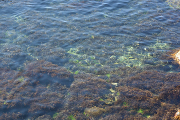 Clear sea near the Crimean coast