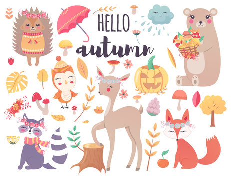 Cute Autumn Woodland Animals and Fall Floral Forest Design Elements