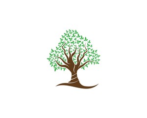 Green Of tree leaf logo ecology element nature vector