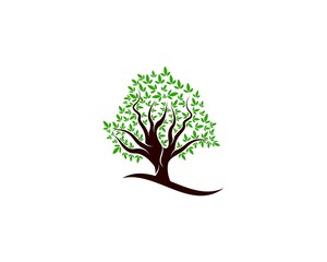 Obraz premium Green Of tree leaf logo ecology element nature vector