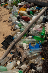 Many plastic bottles washed upon the shore, Mexican Caribbean